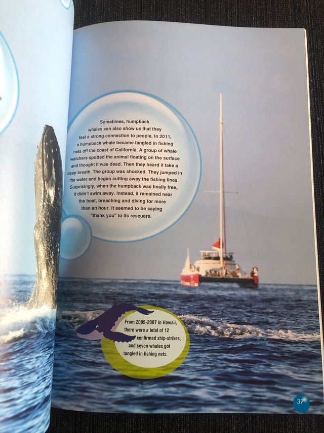 Libro de Inglés Amazing World