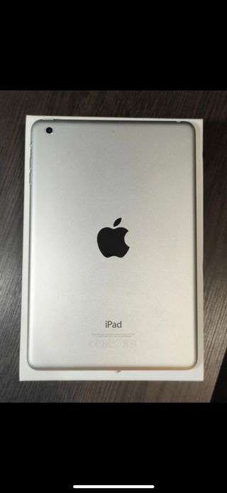 iPad mini 2