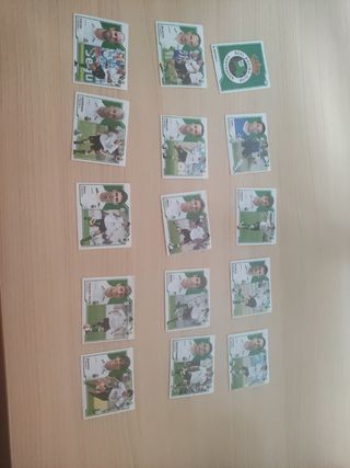 Cromos La Liga Este 2007/2008 RACING