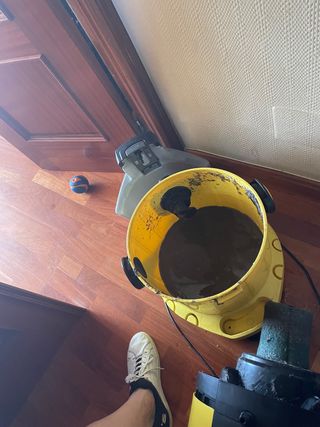 Limpieza sofa, limpieza colchon, limpieza alfombra