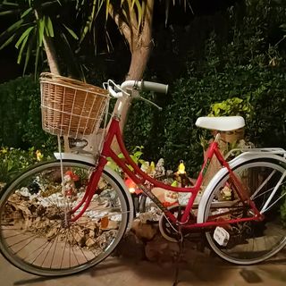 Alquiler bicicletas antiguas para imagen