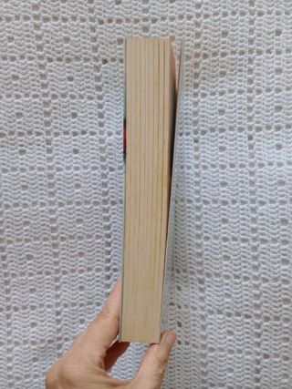 LIBRO "ROBOPOCAPIPSIS"