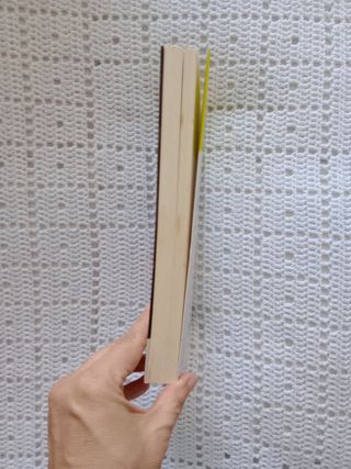 LIBRO "CAPITÁN DE LAS SARDINAS"