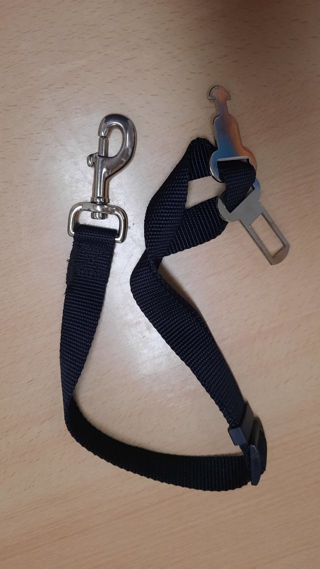 Correa sujeccion mascota coche