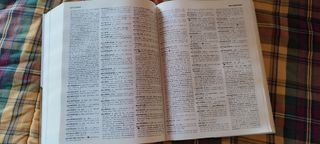 LE GRAND GAFFIOT - DICCIONARIO LATÍN