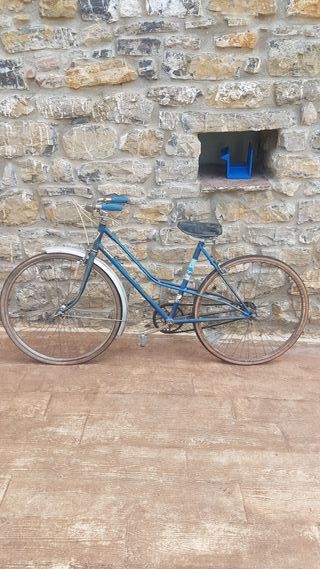 Bicicleta Especial GAC 