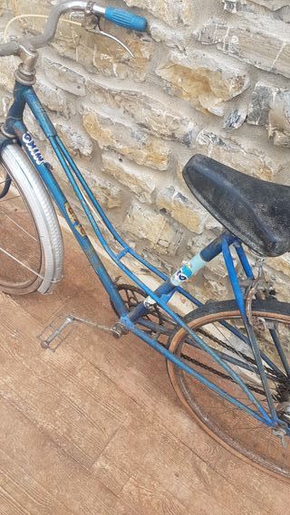 Bicicleta Especial GAC 