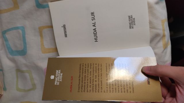 Huida al Sur, libro premio juvenil 