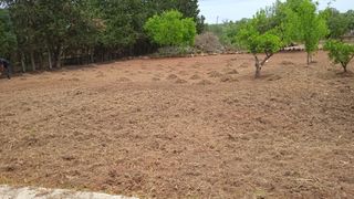 Jardineria