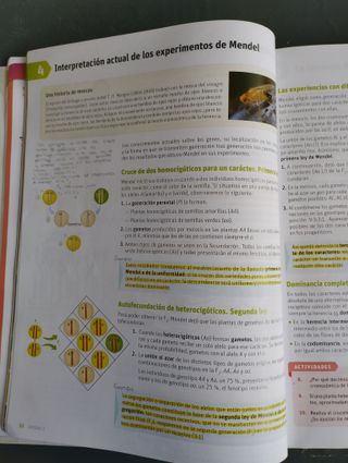 Libro Biología y geología 4º ESO