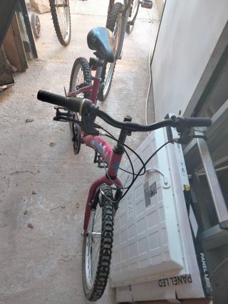 Bicicletas