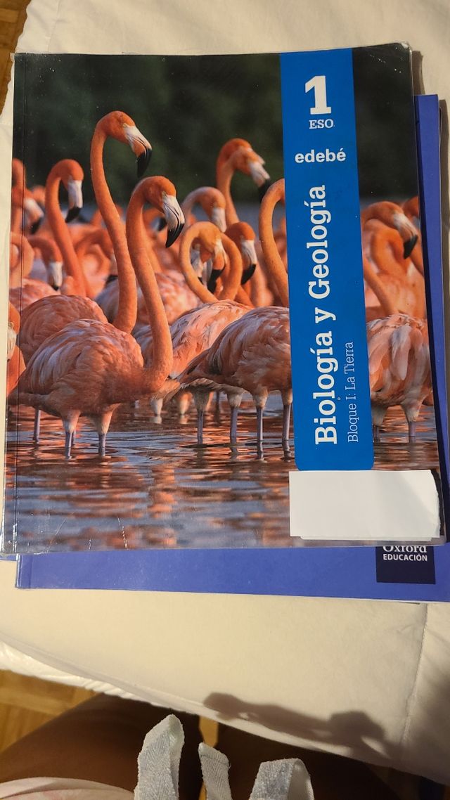 1 eso biología y geologia