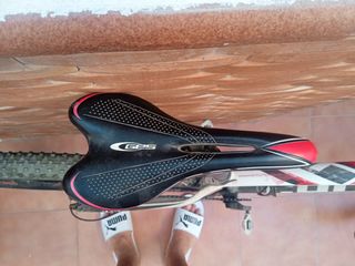 bicicleta FOCUS 