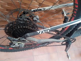 bicicleta FOCUS 