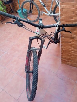 bicicleta FOCUS 