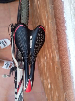 bicicleta FOCUS 