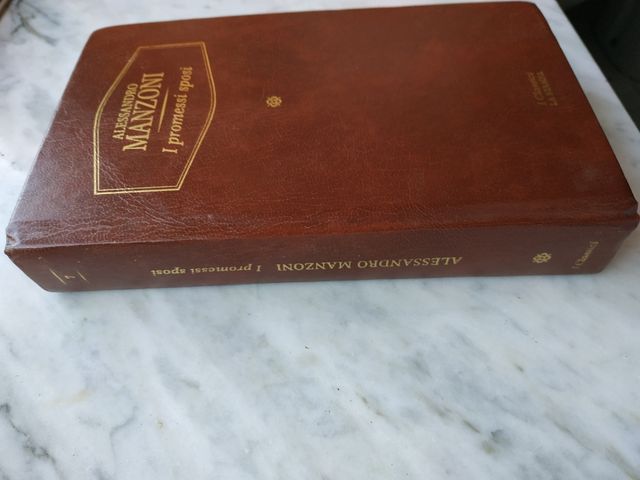 I promessi sposi libro