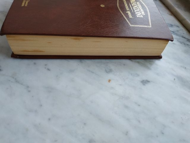 I promessi sposi libro