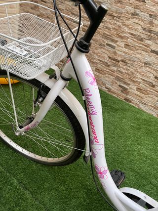 Bicicleta niña de paseo precio negociable 