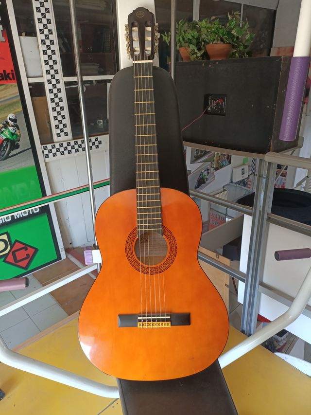 Chitarra Eko CS 10