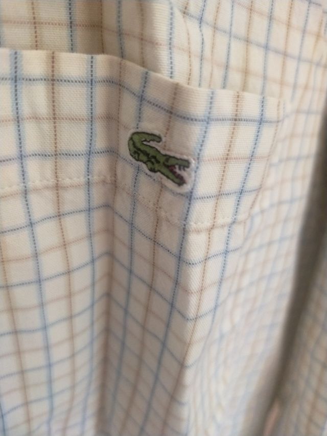 Camisa Lacoste