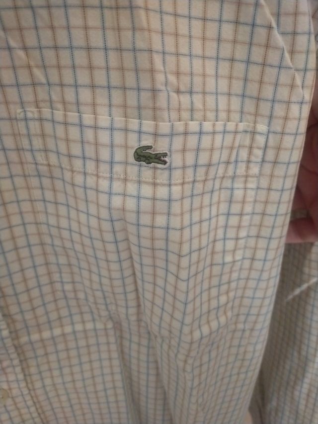 Camisa Lacoste