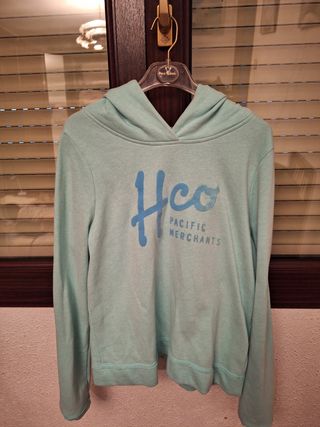 Sudadera Hollister