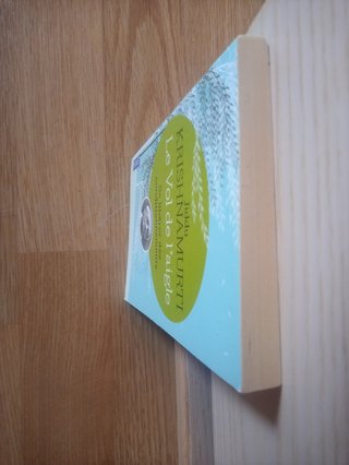 Le vol de l'aigle