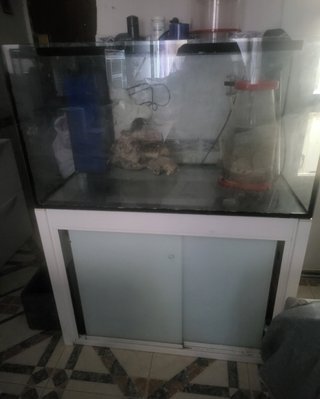 venta de acuario Marino