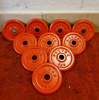 DISCOS SALTER( 10 DISCOS DE 2 KG)