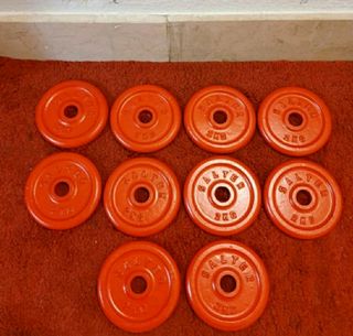 DISCOS SALTER( 10 DISCOS DE 2 KG)