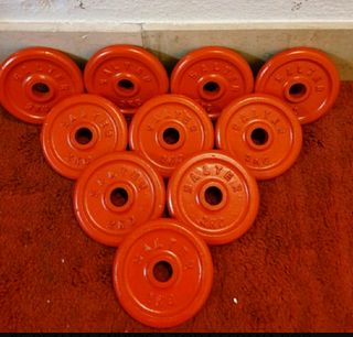 DISCOS SALTER( 10 DISCOS DE 2 KG)
