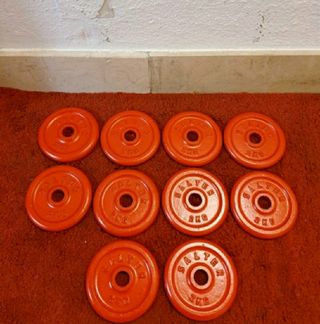 DISCOS SALTER( 10 DISCOS DE 2 KG)