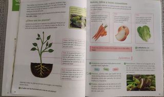 Libro de Naturales 4 Primaria