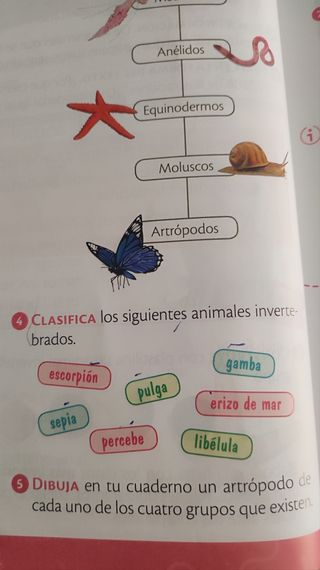 Libro de Naturales 4 Primaria