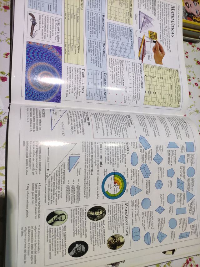 El gran libro de consulta. El Pais