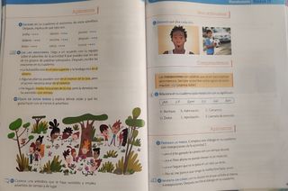 Libros de Lengua 4 Primaria