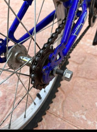 Bicicleta pequeña de montaña. (con ruedines)