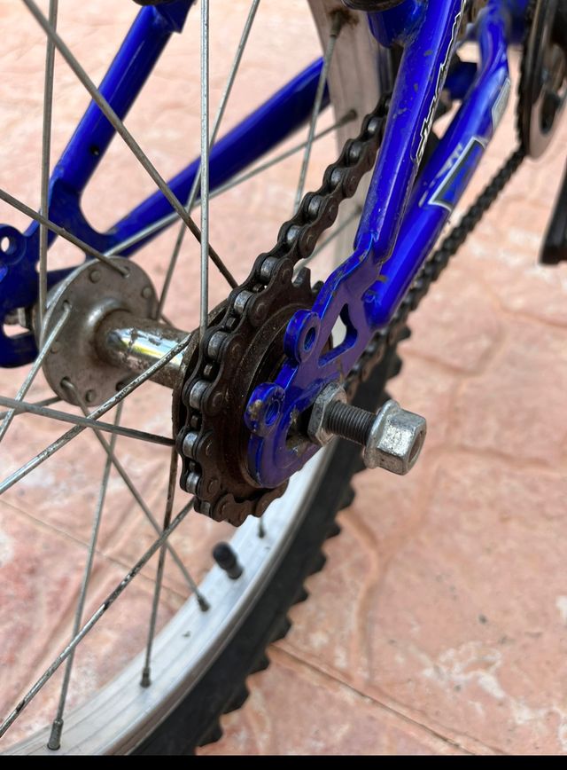 Bicicleta pequeña de montaña. (con ruedines)