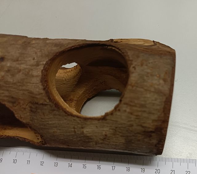 Tunel madera agujeros hamster, jerbo, raton.