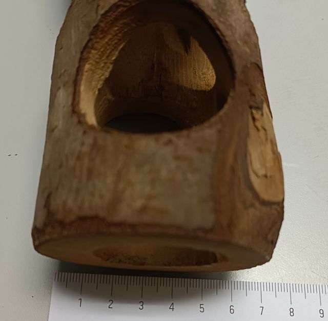 Tunel madera agujeros hamster, jerbo, raton.