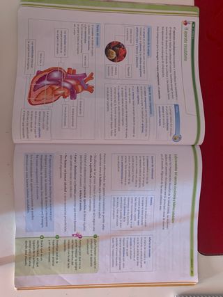 libro 4 primaria leyenda del legado