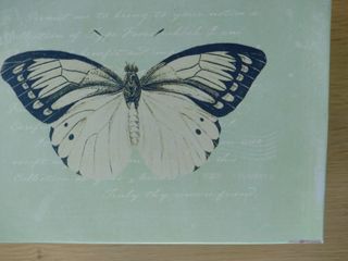 Caja metálica mariposa