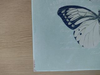 Caja metálica mariposa