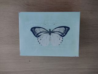 Caja metálica mariposa