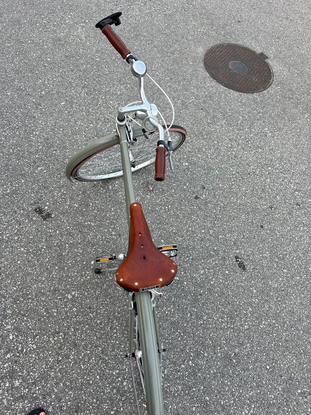 Bicicleta clasica viva