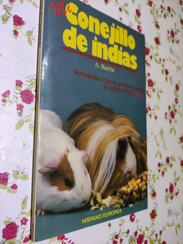 Mi conejillo de indias