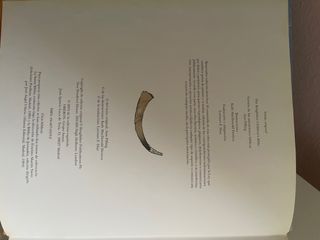 mi primer biblia. Editorial Anaya