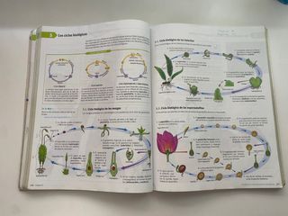 Biología y geología 1 bachillerato
