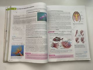 Biología y geología 1 bachillerato